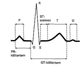 ekg1-d00000FCCaccec91895dc