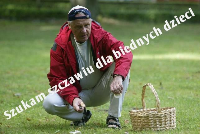 Niesiołowski królem szczawiu. Internet śmieje się z posła