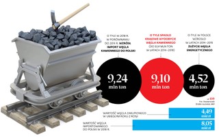 Import węgla znów idzie na rekord. Tylko w styczniu za zagraniczny węgiel zapłaciliśmy 813,9 mln zł