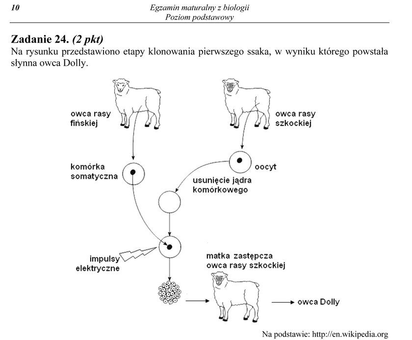 Arkusz egzaminacyjny z biologii z zadaniem 24