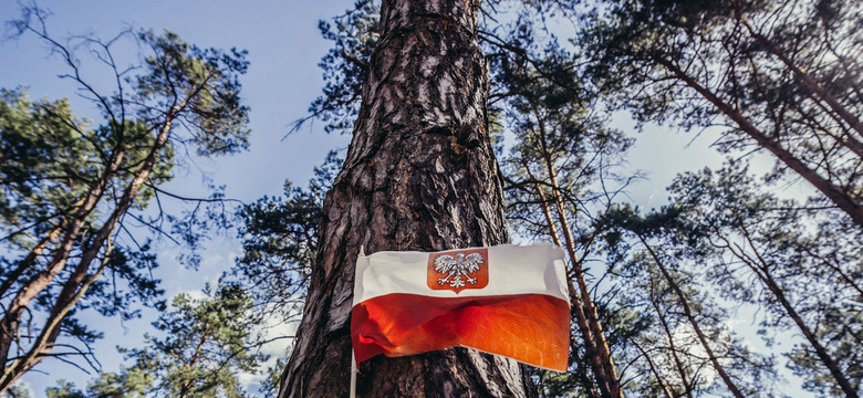 Skandal? Prowokacja? Tablica na cmentarzu w Katyniu wytyka Polakom zamęczenie rosyjskich jeńców