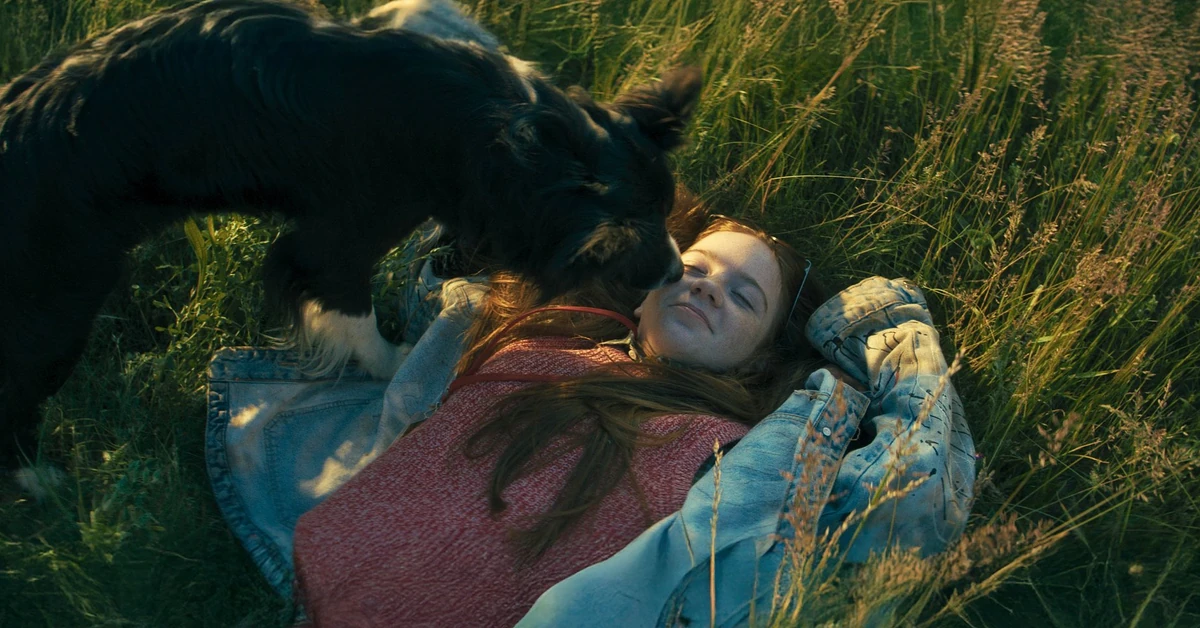 Nowa polska komedia. Dla psiary i psiarza wyprawa do kina to obowiązek