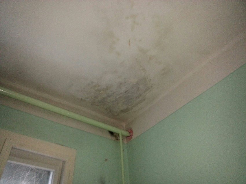 VLAGA I BUĐ U SVAKOM ĆOŠKU