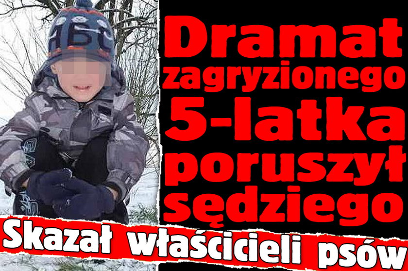 Dramat zagryzionego 5-latka poruszył sędziego. Skazał właścicieli psów