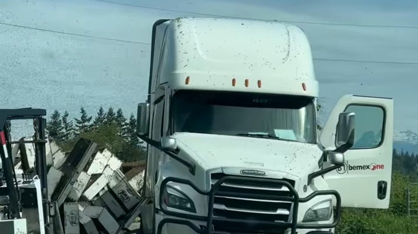 250 million bees escaped from the truck. Beekeepers went to the action
