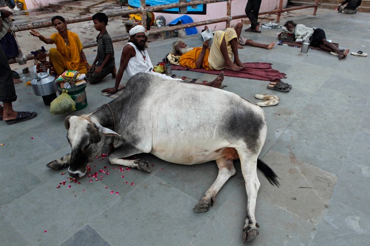 Podróż do Waranasi