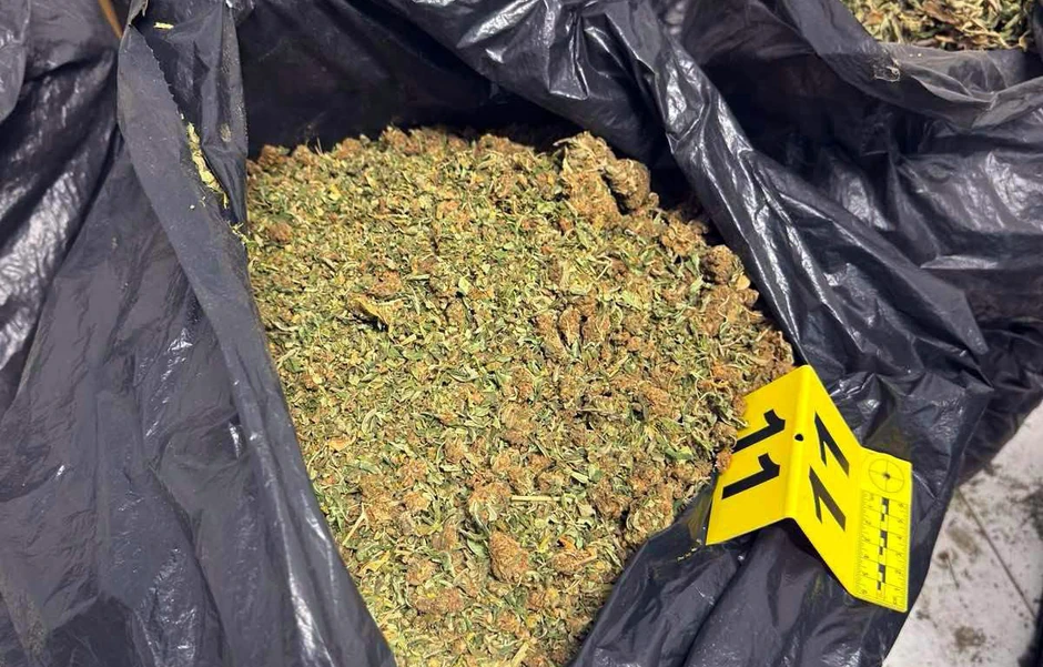 hapšenje, droga Zrenjanin