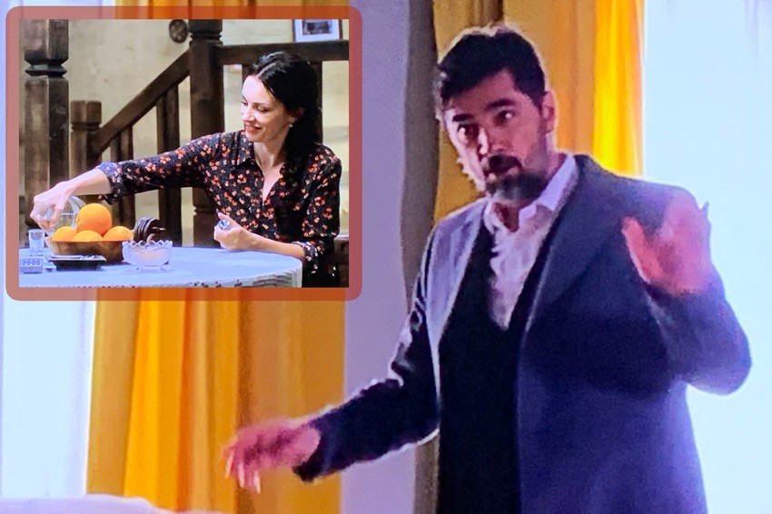 Sloboda i Vojin u seriji "Tajne vinove loze"