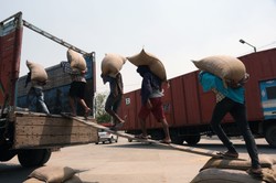 Upały, susze, powodzie. Liczba ofiar i koszty klęsk żywiołowych są rażąco zaniżone