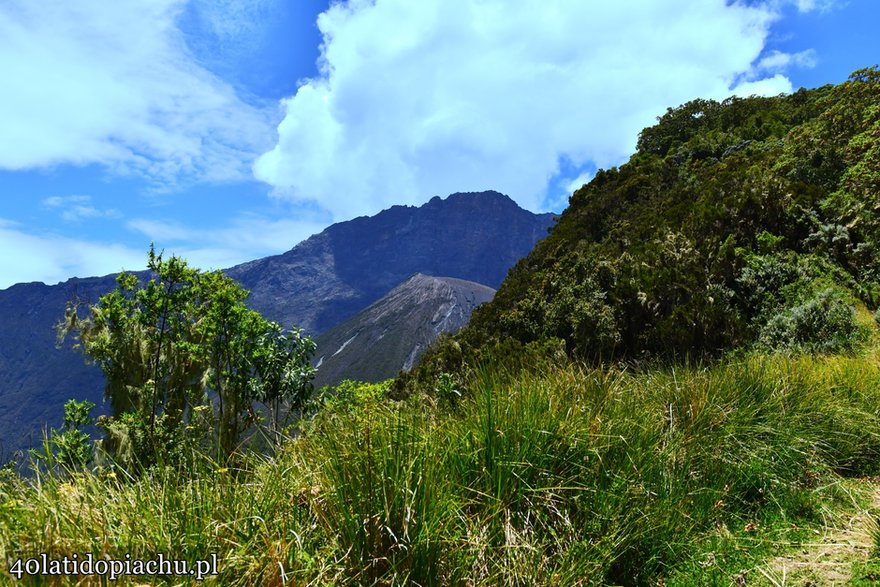 W drodze na Mount Meru, Tanzania 2021