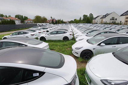 Dziesiątki nowych Tesli pośrodku osiedla domów