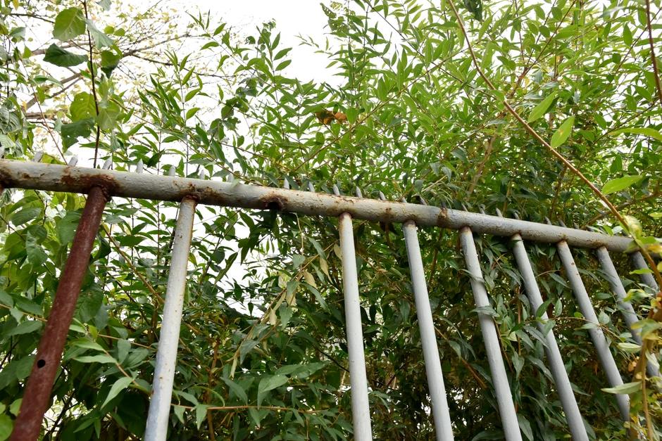 Nedostaju neke šipke