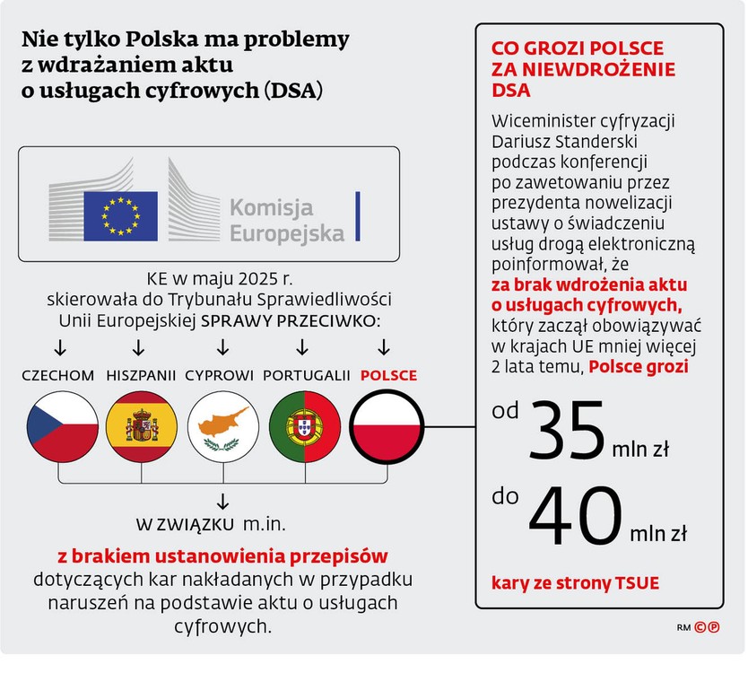 Nie tylko Polska ma problemy z wdrażaniem aktu o usługach cyfrowych (DSA)