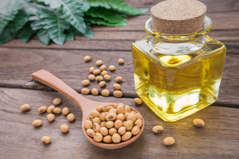 Health benefits of soybean oil will surprise you Pulse Nigeria