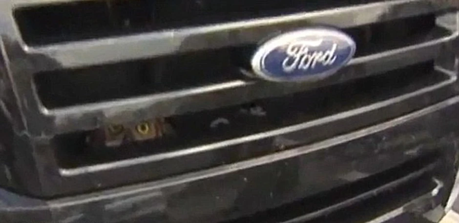 Prolaznici su zaustavili Sondži i rekli joj da se ispod haube nalazi ptica