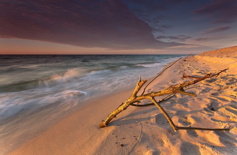 Fotografie autorstwa Katarzyny Figury