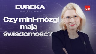 Czy mini-mózgi mają świadomość? [Eureka - odkrycie tygodnia]