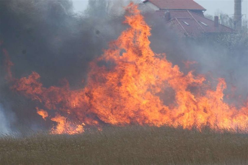 Spłonął, bo chciał mieć ogródek!