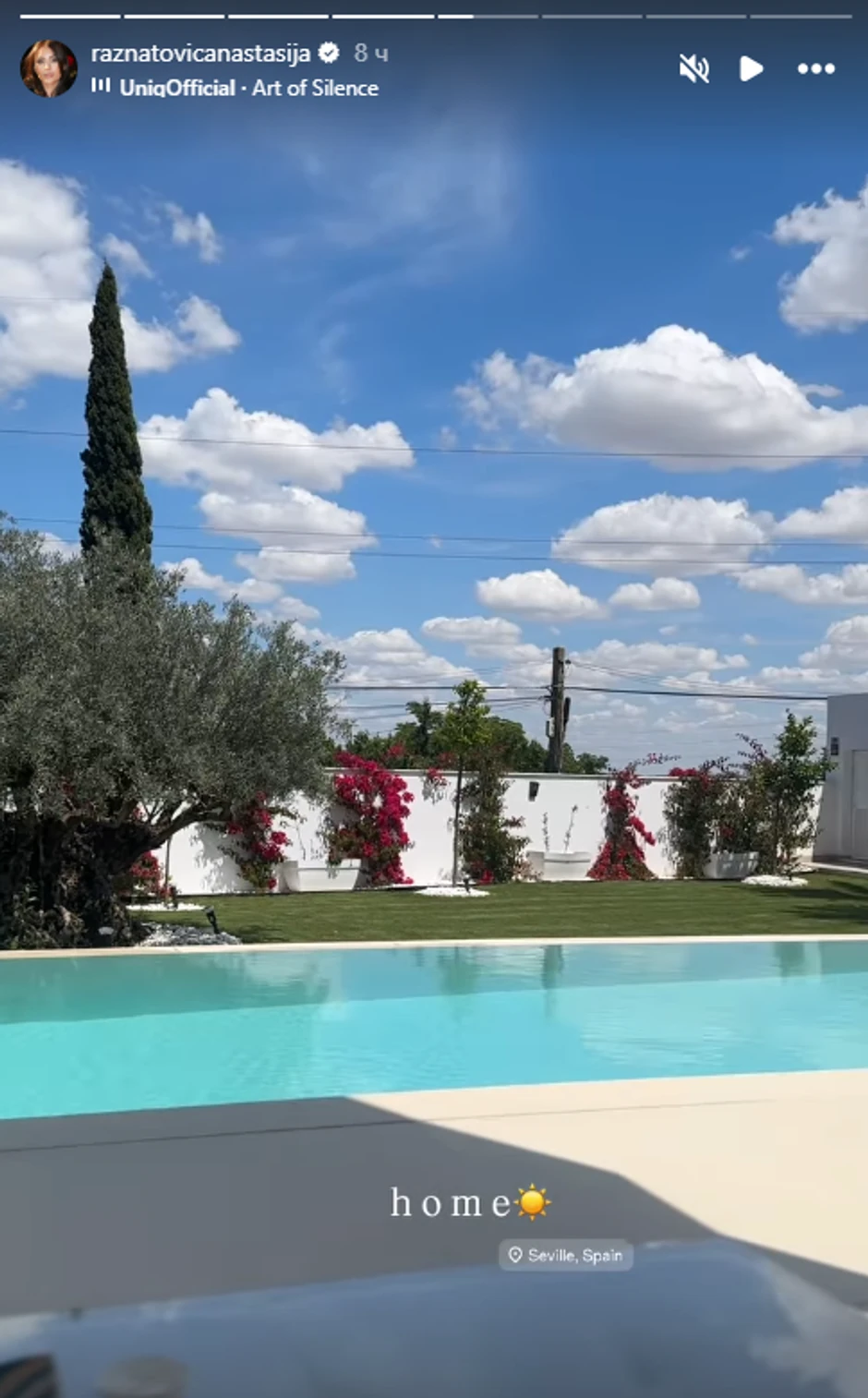 Dvorište Anastasije Ražnatović