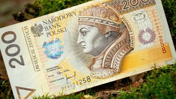 Jak obliczyć podatek leśny?