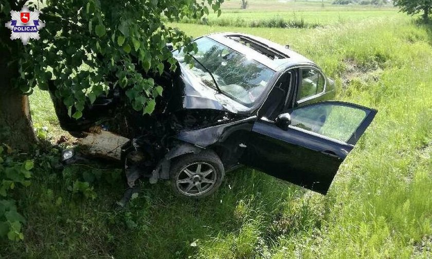 BMW rozbiło się o drzewo. Kierowca chciał ominąć ... antylopę