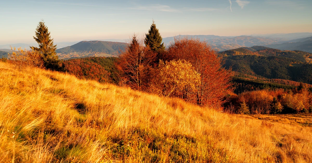 Babie lato 2025. Kiedy nadejdzie? Oto prognoza pogody na październik. Czy doczekamy się "złotej polskiej jesieni"? Wiemy już, kiedy nastąpią te pogodne i ciepłe dni!