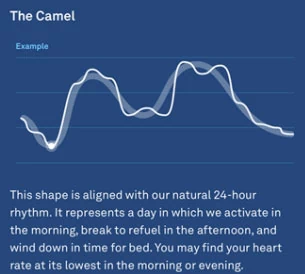 Jasno i na temat: przebieg częstotliwości pracy serca w ciągu dnia Oura porównuje z typowymi krzywymi