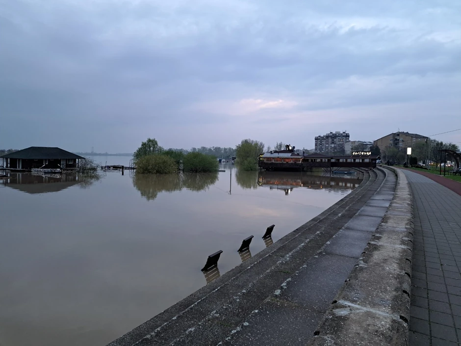 Sava u Sremskoj Mitrovici