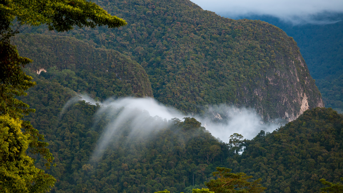 Park Narodowy Gunung Mulu – historia, informacje 