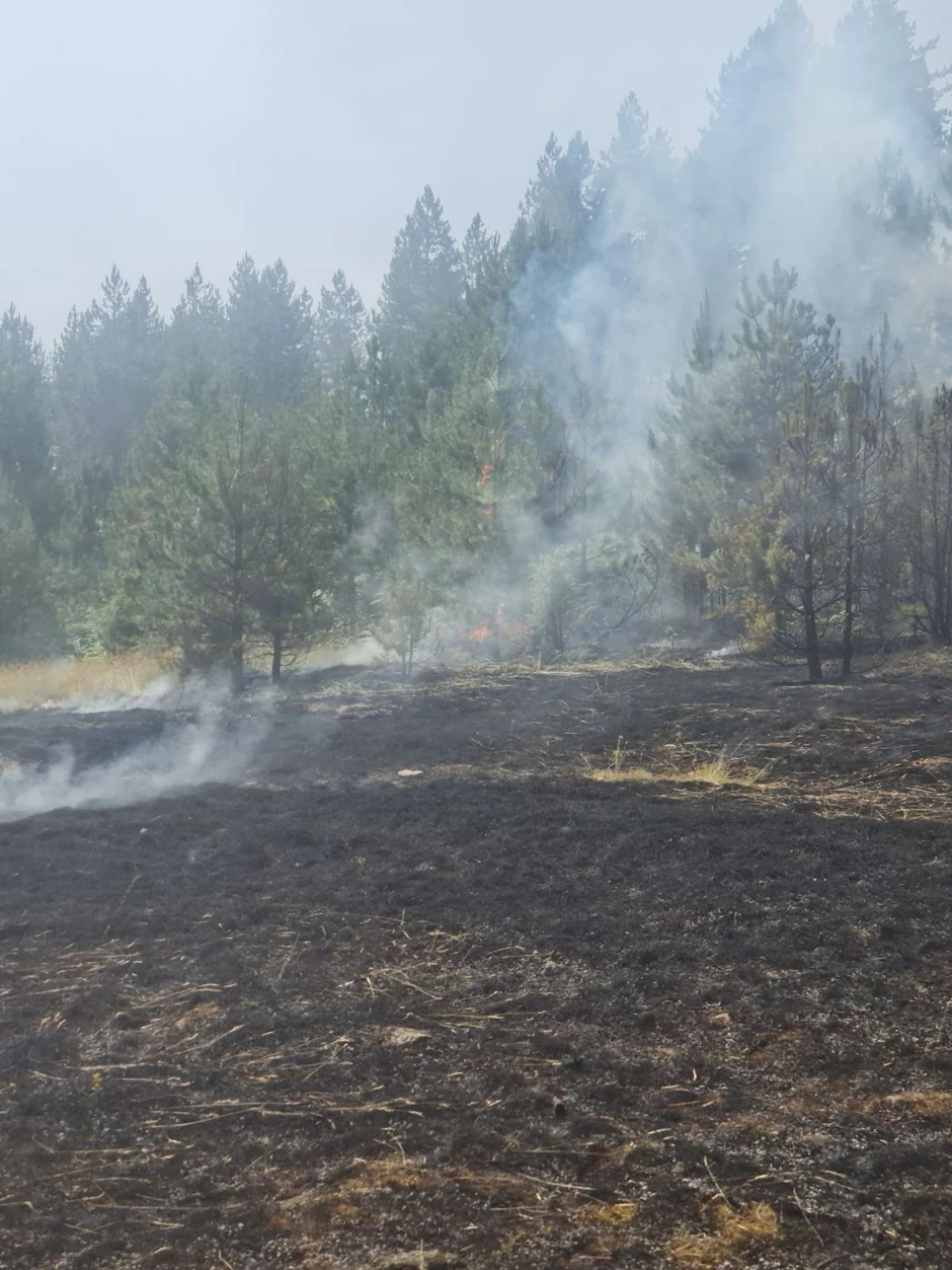 Udar groma može da izazove požar