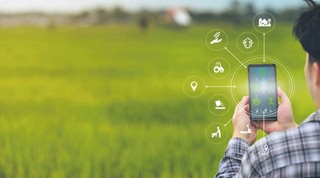 Ekosystemy innowacji w rolnictwie i sektorze żywności – przykłady ze Szwajcarii i Polski