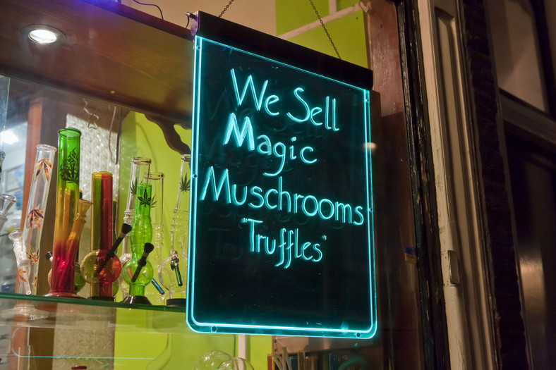 Znak "sprzedajemy trufle z magicznymi grzybami" w witrynie sklepu w Amsterdamie