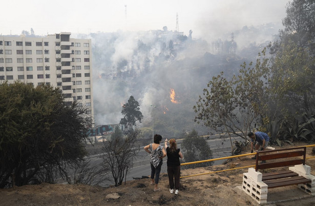 Pożary lasów w chilijskim regionie Vina del Mar