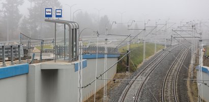 Absurdalne przystanki w Gdańsku i Szczecinie. Jak się tłumaczą władze miast?