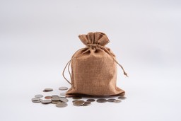 Dochody budżetu państwa ze zryczałtowanego podatku dochodowego za pierwsze półrocze. Najnowsze dane MF