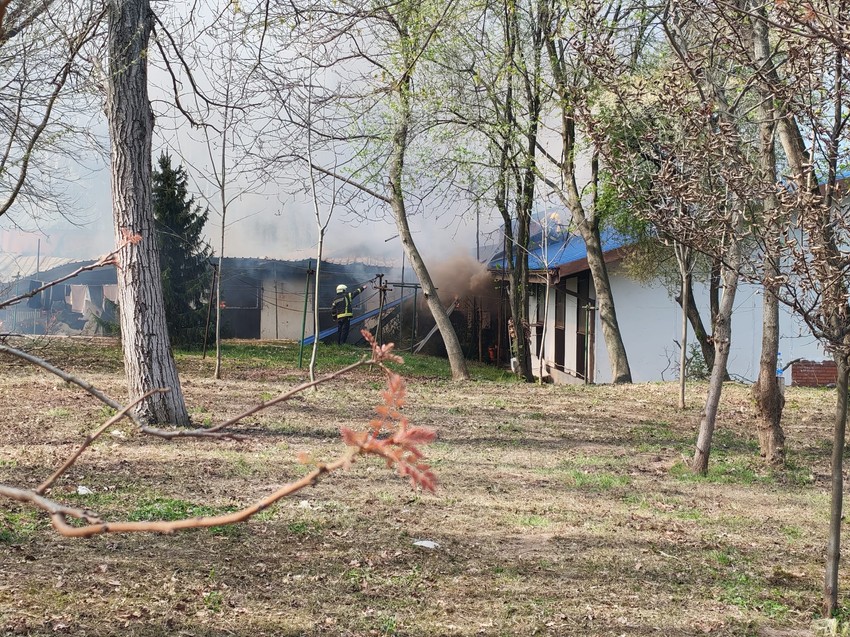 Požar na Bežanijskoj kosi