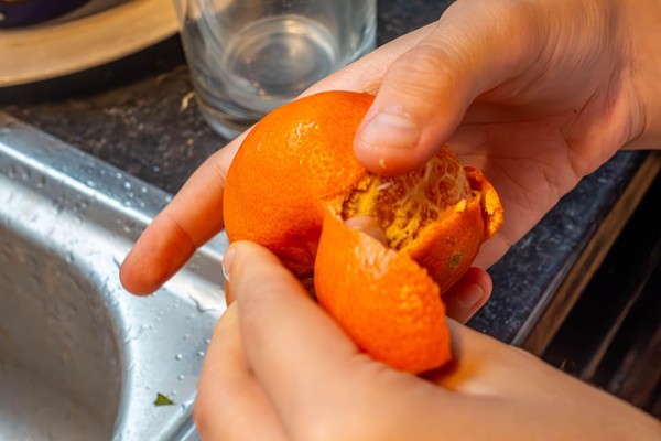 Nenad Alajbegovic Alibeg