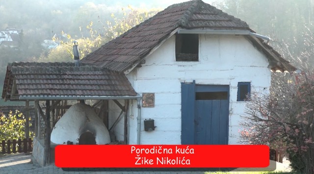 Žika Nikolić