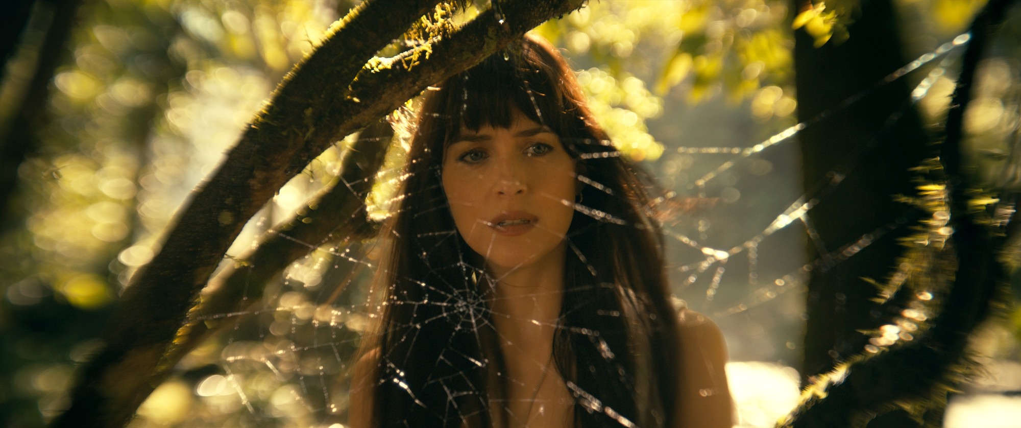 Madame Web mieri do kín už tento štvrtok