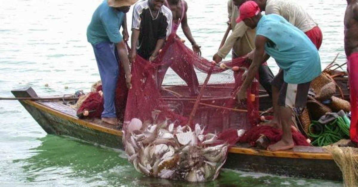Ghana ends 2025 close season for canoe fishermen, keeps ban for trawlers |  Business Insider Africa