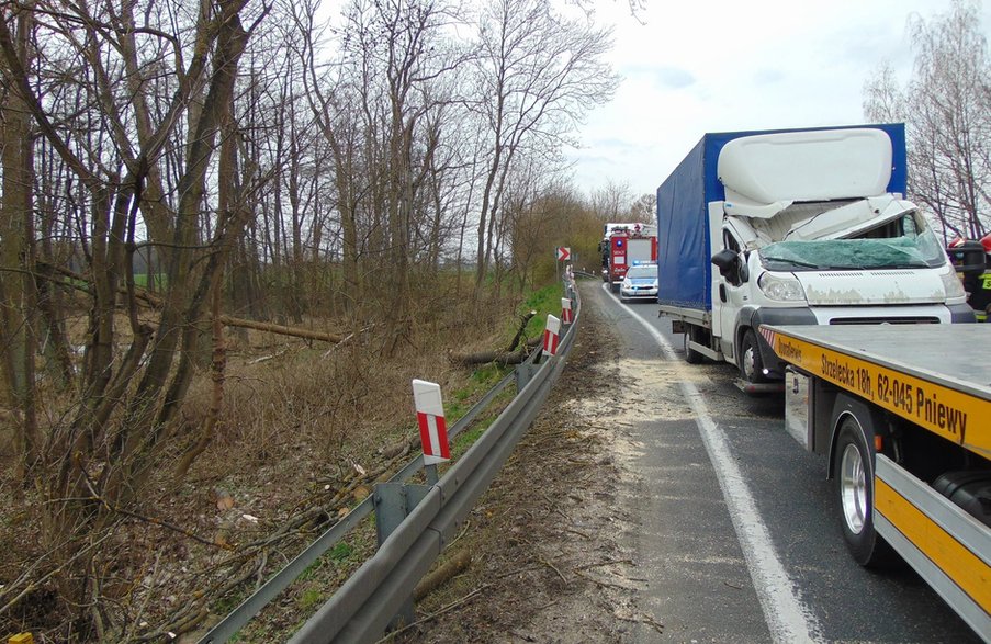 Konar drzewa spadł na jadące auto dostawcze fot. OSP Kwilcz