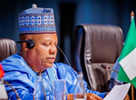 Shettima sets up multi-sectoral committee on human capital development
