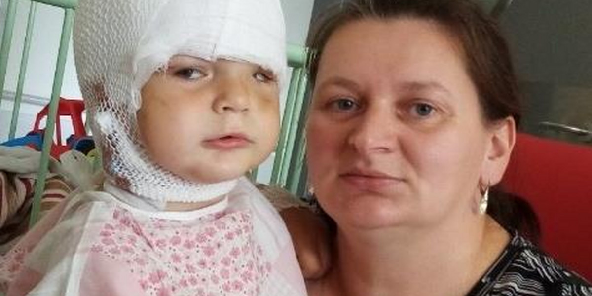 Mama pogryzionego Sebastianka dziękuje czytelnikom Faktu za pomoc: "Macie wielkie serca!"