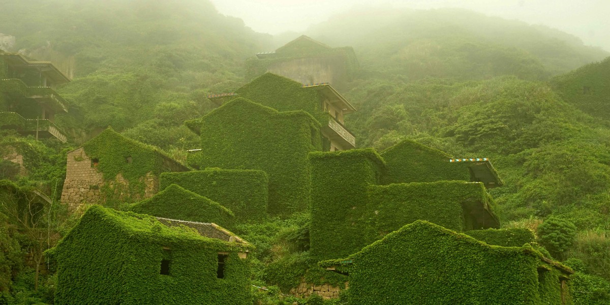 The eerie beauty of China's seaside ghost town: Stunning images show how an abandoned fishing village became a green wonderland swallowed up by mother nature