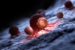 Illustration of white blood cells attacking a cancer cell