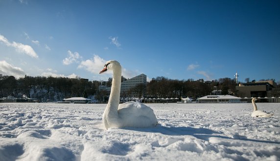 Gdynia