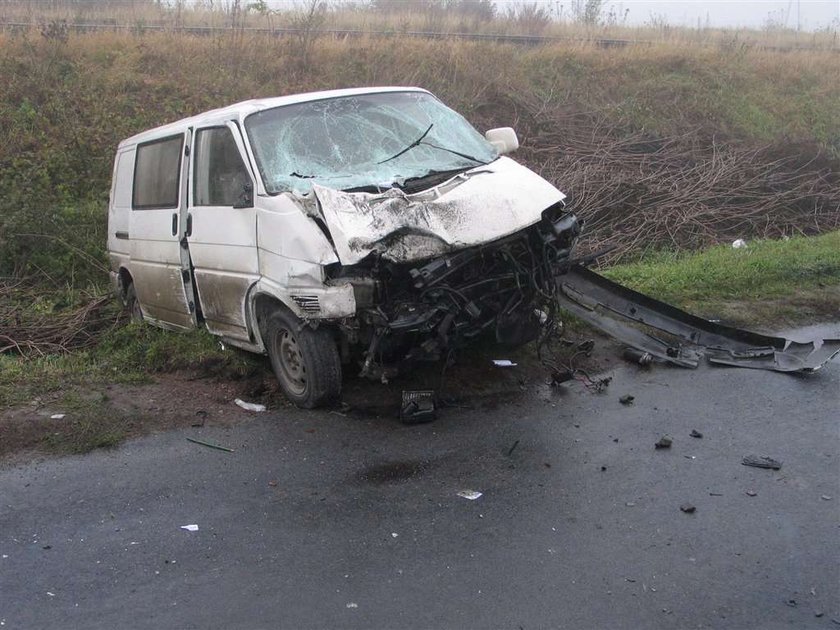 Masakra na drodze pod Toruniem. FOTO