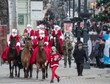 ŁÓDŹ 23. FINAŁ WOŚP (Parada konna na ul. Piotrkowskiej)