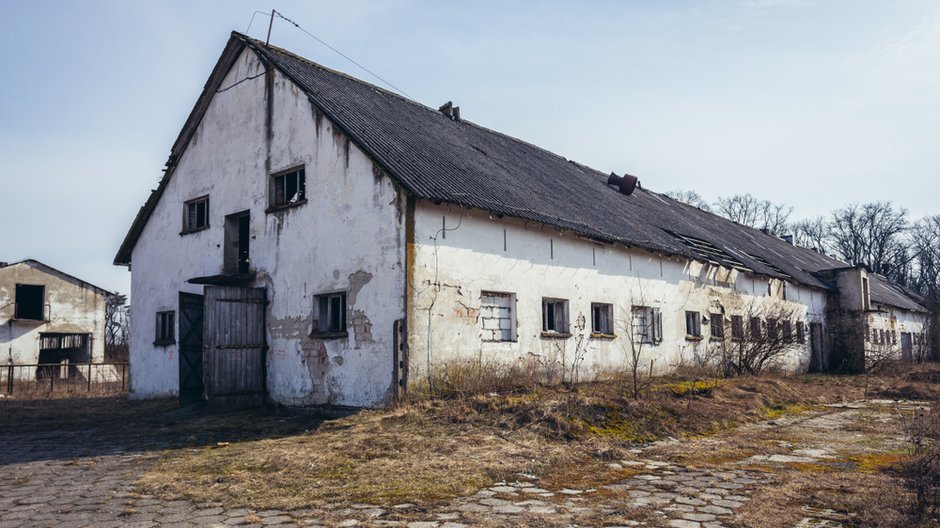 Życie w PGR-ach. "Powiem tak: nie było dnia w moim życiu, żebym nie płakała"