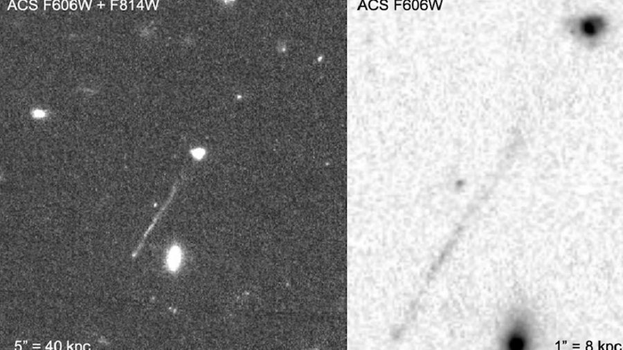 Odkryto ogromną czarną dziurę pędzącą przez kosmos, fot. Van Dokkum et al. / Astrophysical Journal Letters 2023